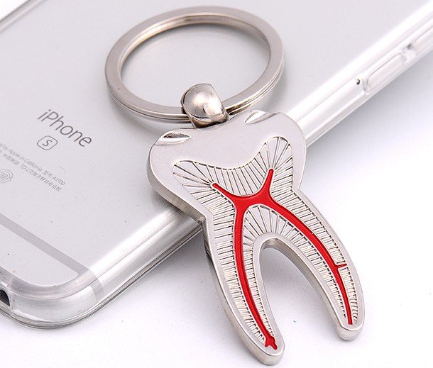Anatomical Tooth Keychain Ð Metal Finish with Root Canal Design