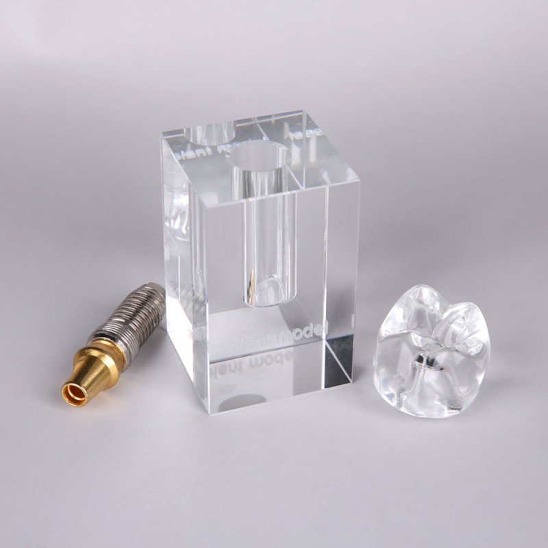 Crystal Implant Model Three Parts Integrated - Image 2