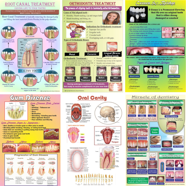 Comprehensive Dental Education Poster Set - Patient Information for Clinics - Image 2